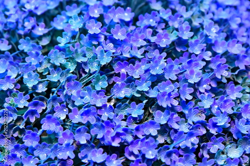 Full frame texture of artificial blue flowers for event decor