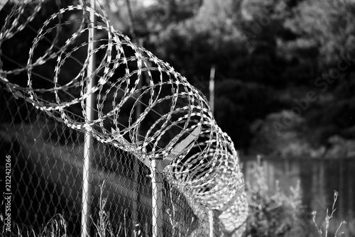Barb and razor steel wire fence  black and white