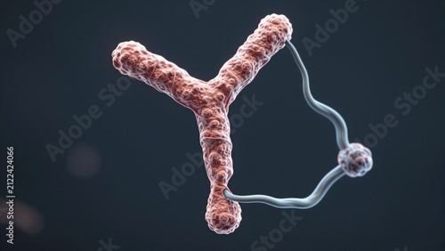 Antibody Y-shaped protein structure render