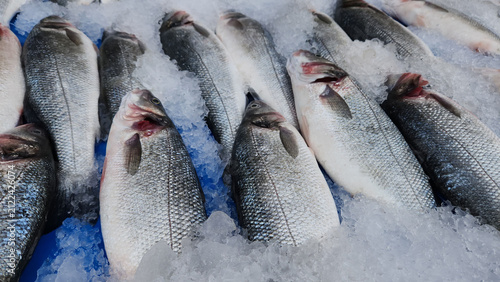 Sea bass lined up on crushed ice to keep them fresh at the fish stall.