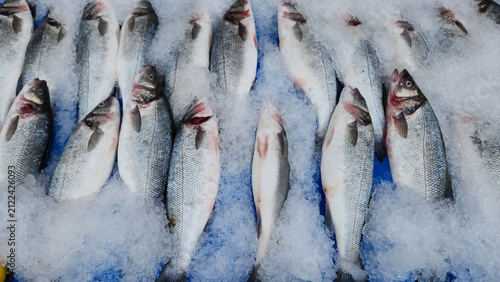 фотографія Sea bass lined up on crushed ice to keep them fresh at the fish stall