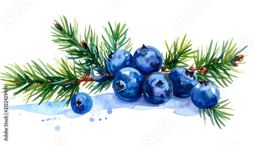 Watercolor Blueberries on P...