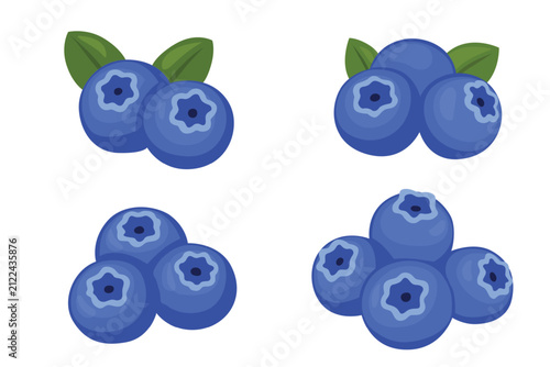 blueberries vector logo isolated on white background.	