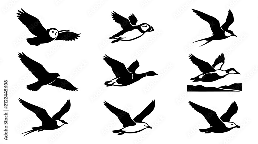 Fototapeta premium Shorebirds and puffin silhouettes for aquatic wildlife graphics.