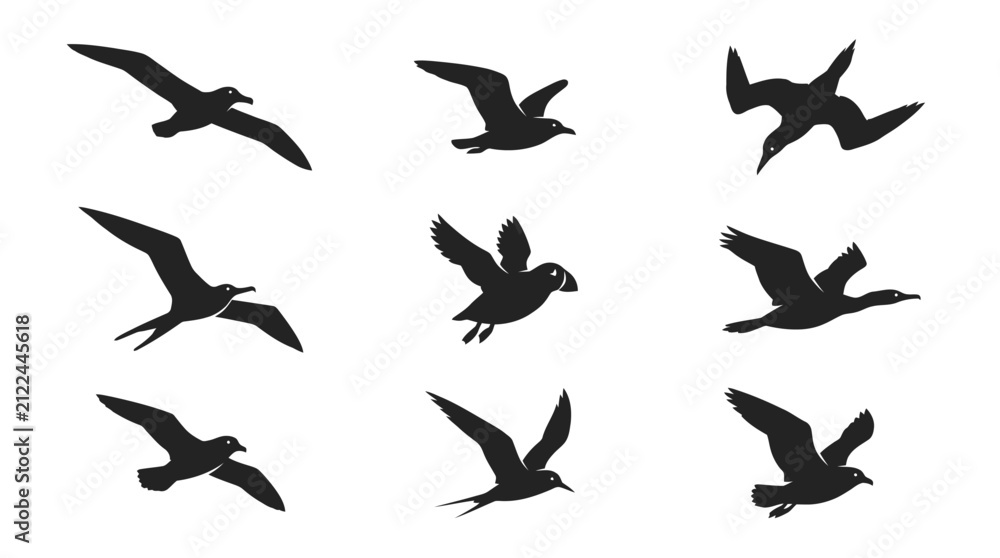 Fototapeta premium Coastal seabird and gull silhouettes in flight.