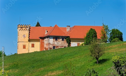 Styrian countryside, animals and trees, Hitzendorf, Styria, Austria, Europe, May 2026, old castle
