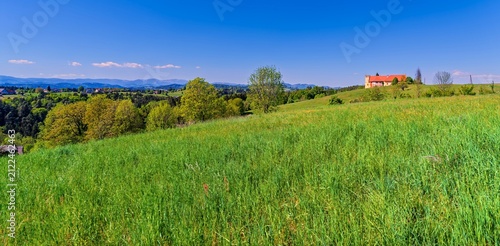 Styrian countryside, animals and trees, Hitzendorf, Styria, Austria, Europe, May 2026, old castle