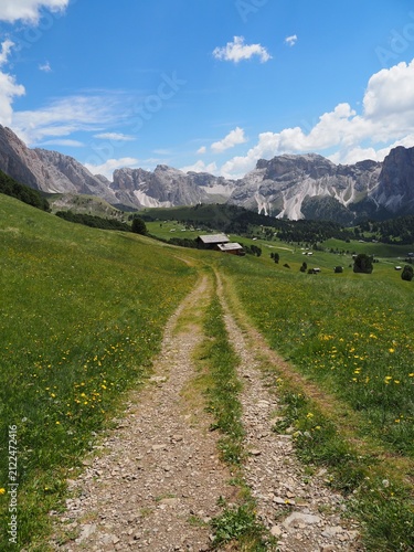 Картината върху платно Picturesque hiking trail crossing green blooming alpine meadows and leading toward the valley of Seceda with mountain views on a sunny summer day