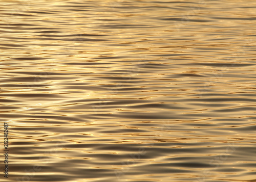 golden water surface