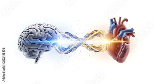 3d rendered illustration of human brain