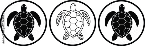Three cartoon turtles with soccer ball pattern shells