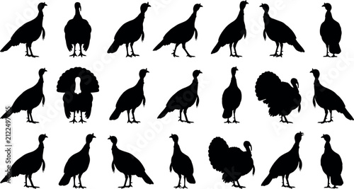 Foto Various wild turkey silhouettes in different standing poses