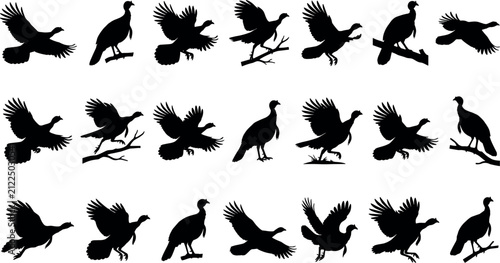 Quadro su tela Collection of turkey silhouettes in flying and perching actions