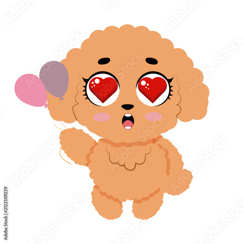 Cute fluffy poodle puppy standing with big eyes isolated on white background for kids design