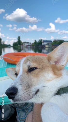 Corgi dog with owner enjoying fishing trip on lake, sitting together in boat surrounded by calm water and scenic nature. Peaceful outdoor adventure with pet companion during summer vacation. 