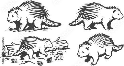 Hand Drawn Porcupine Collection Vector Illustration Set with Walking Wild Porcupines, Spiny Mammals and Woodland Animal Poses.