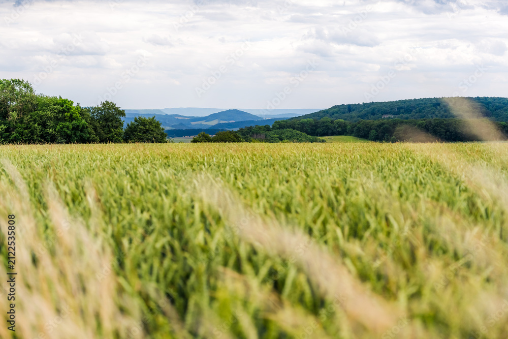 Fototapeta premium View from a Hill over Rolling Landscape in Central Germany with Field and Grass