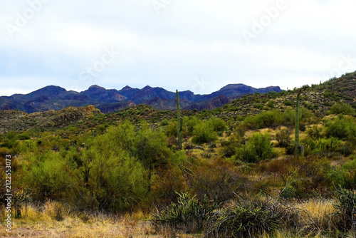 Salt River Recreation Area Arizona