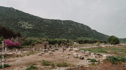 Ephesus izmir Turkiye roman ruins 