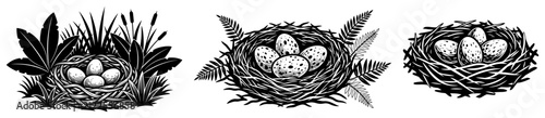 Dinosaur or bird nest with eggs vector set, prehistoric wildlife nature icons, eggs in grass and ferns illustration