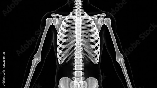 3D Medical Illustration of the Human Pelvic Girdle, Lumbar Spine, Sacrum, and Hip Joints, High-Contrast Monochrome X-Ray Style Anatomical Visualization on a Black Background