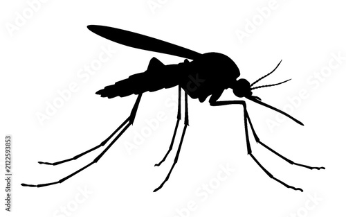 Fotografía Silhouette of a mosquito