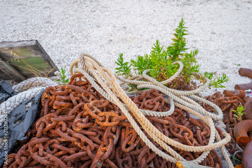 Quadro su tela A pile of heavy rusted metal chains and coiled nautical ropes lying on a white pebble ground with small green plants growing between them