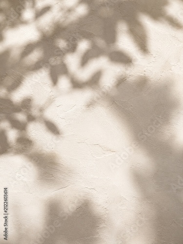 Soft shadows of leaves cast on a textured beige wall, creating a natural pattern with subtle variations in light and shadow across the surface