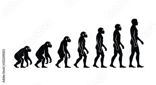 фотографія Illustrative depiction of human evolution showing progression from primate to mo