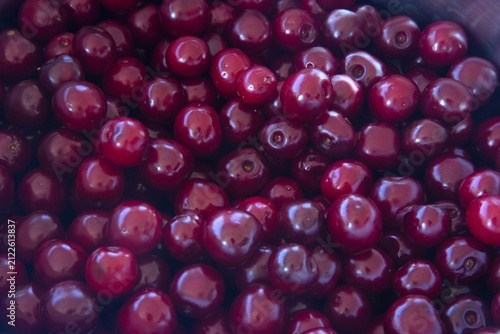 Pile of cherry fruits