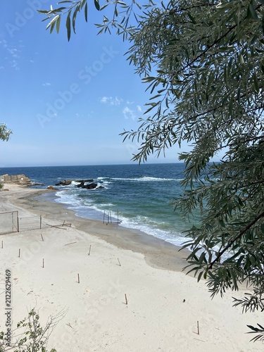 tropical beach with palm trees