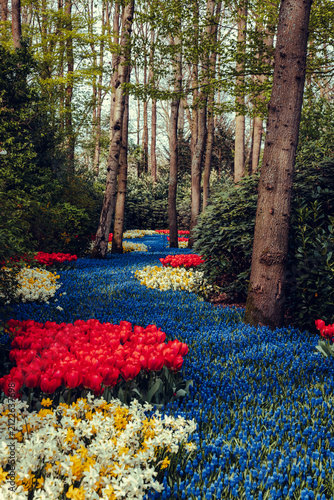 Blooming parkland in Keukenhof in Lisse, Netherlands