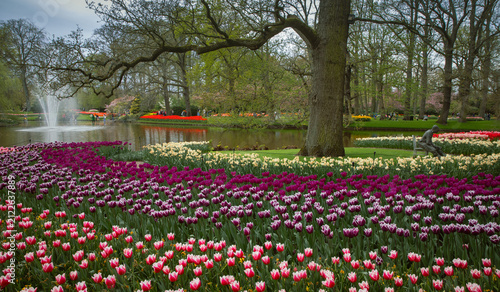 Bright spring flowerbeds with mixed tulips in Keukenhof Park, Netherlands
