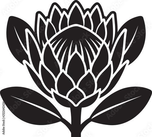 Cuadro en lienzo King protea flower silhouette vector illustration floral botanical icon isolated