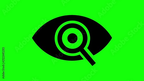 Animated Eye with Magnifying Glass Icon, Search and Vision Concept, Black Eye Search Symbol on Green Screen Background