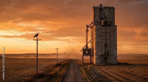 Old grain elevator at sunset. Rural farm landscape with a bird on a power line.