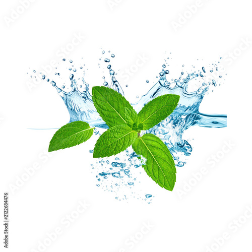 Obraz na plátně Fresh mint leaves splashing in clear water with dynamic droplets during a refres