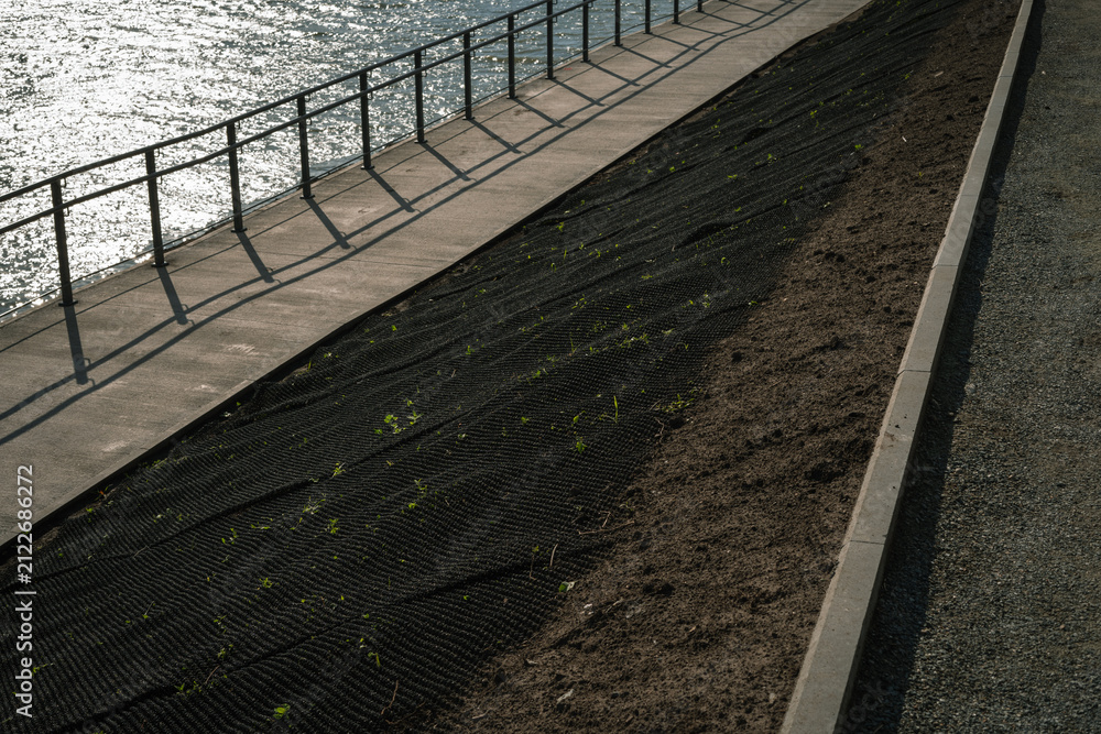 Obraz premium Erosion control mat on slope with budding plants by waterfront 