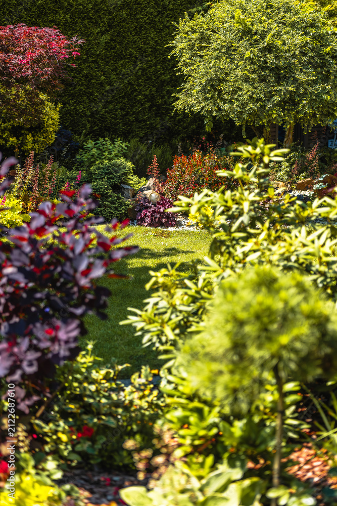 Fototapeta premium Garden with various plants and shrubs during sunny day