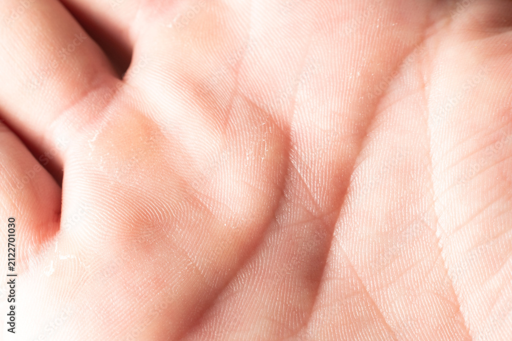 Fototapeta premium close up of human hand. Human palm and life lines close up, palmistry science, white man palm. Close-up of open human hand palm facing upward with visible life lines and natural skin texture