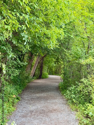 A peaceful walking trail winding through lush green woodland, surrounded by dense foliage, mature trees and natural vegetation. The gently curving gravel path leads through the forest