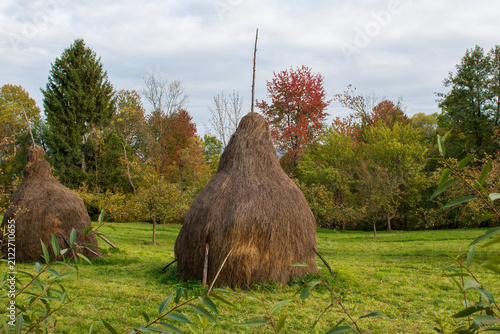 Canvas Print Rustic conical haystacks standing on a green meadow surrounded by colorful autumn trees