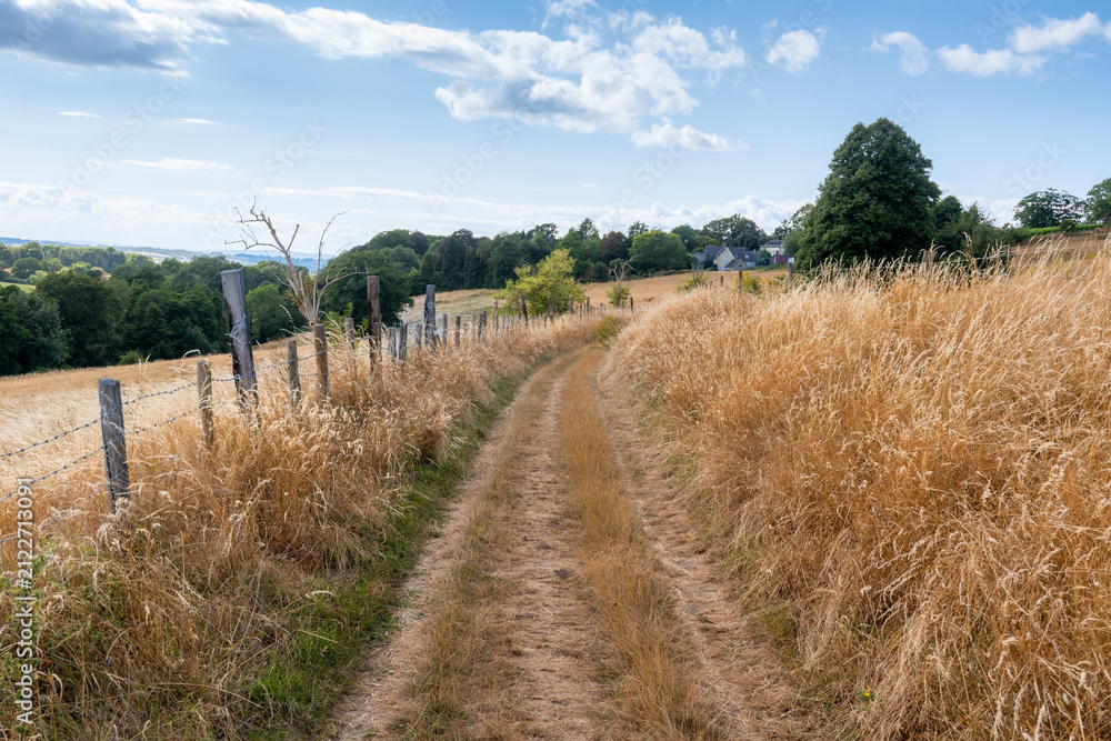 Fototapeta premium cotswold way