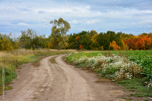 country Road Winding Through green agricultural field to autumn forest
