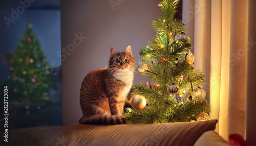 cat on the chrismass tree in the room lighting