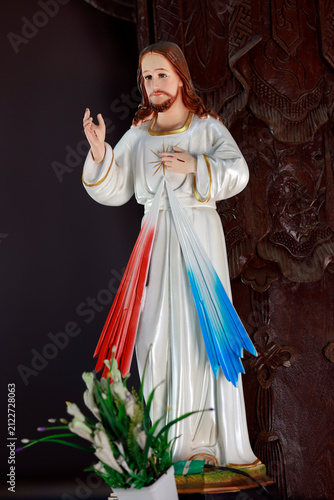 Photography Divine Mercy Jesus Statue Phat Diem Church