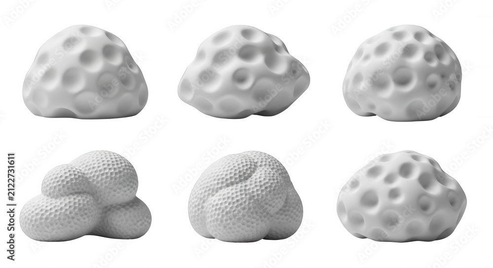 white organic sculptures arranged against a bright white backdrop for minimalist abstract artistic decoration