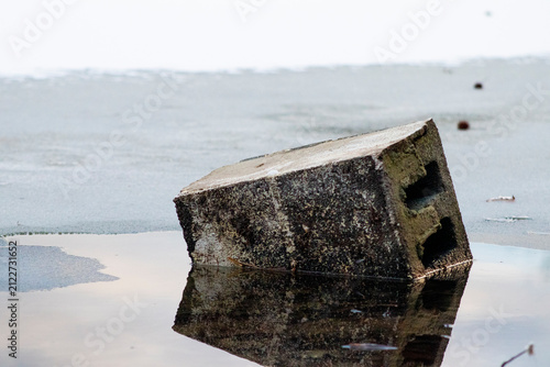 Brick Reflection