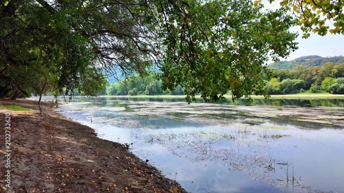 Rhine landscape near Lorch with low water, wooded riverbank near Lorch