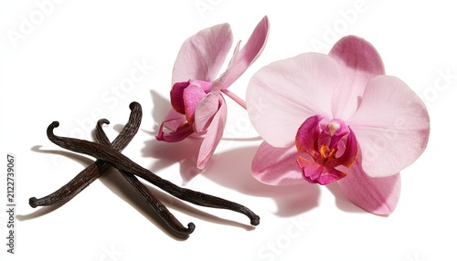 Vanilla Beans and Orchid Flowers on White Background.